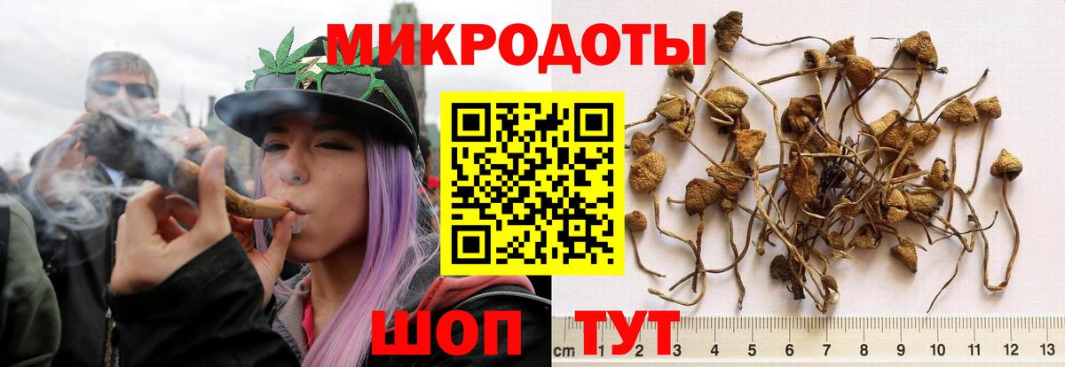 Псилоцибиновые грибы Magic Shrooms Гай